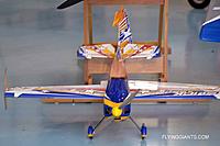 Name: DSC_0087FG ExtremeFlight.jpg
Views: 212
Size: 58.6 KB
Description: 