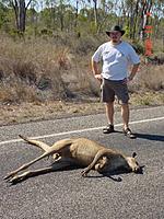 Name: roadkill.jpg
Views: 186
Size: 71.7 KB
Description: 