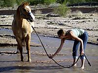 Name: horse_to_water.jpg
Views: 66
Size: 39.7 KB
Description: 